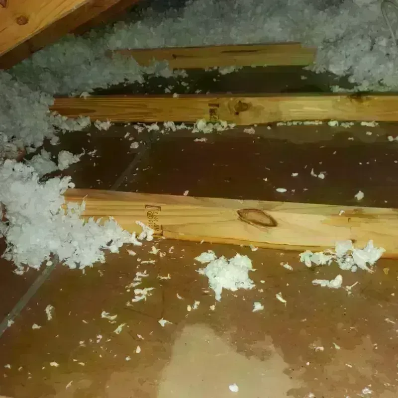 Attic Water Damage in South Burlington, VT